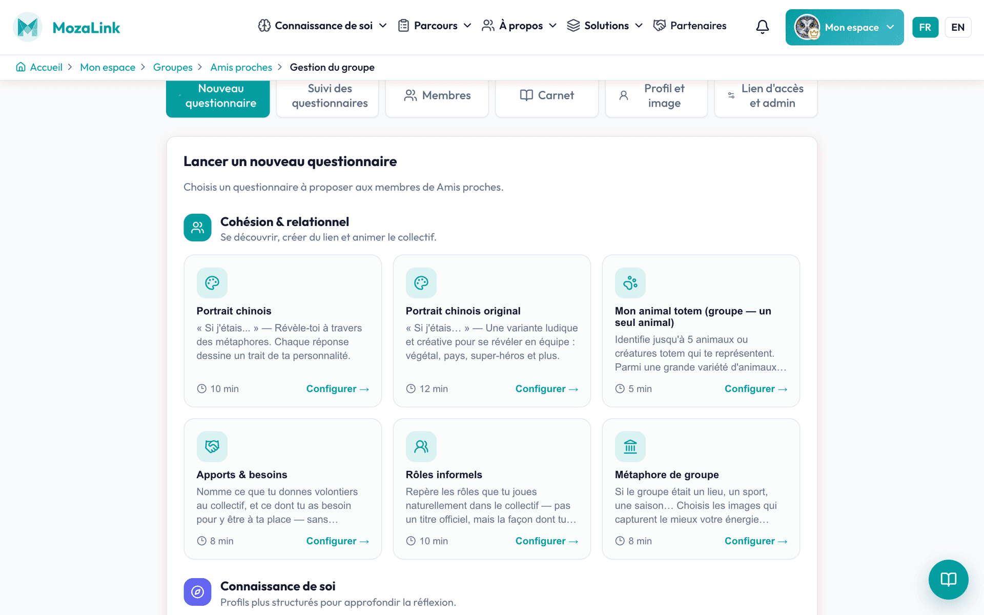 Capture d'écran des questionnaires de groupe